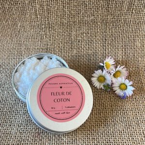 La Poudre Aspirateur